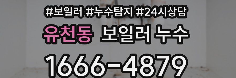 유천동 누수탐지