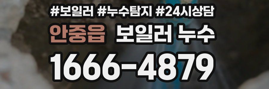 안중읍 누수탐지