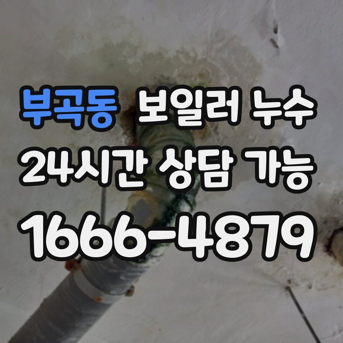 부곡동 보일러 누수 보일러실 바닥이 부분적으로만 젖을 때