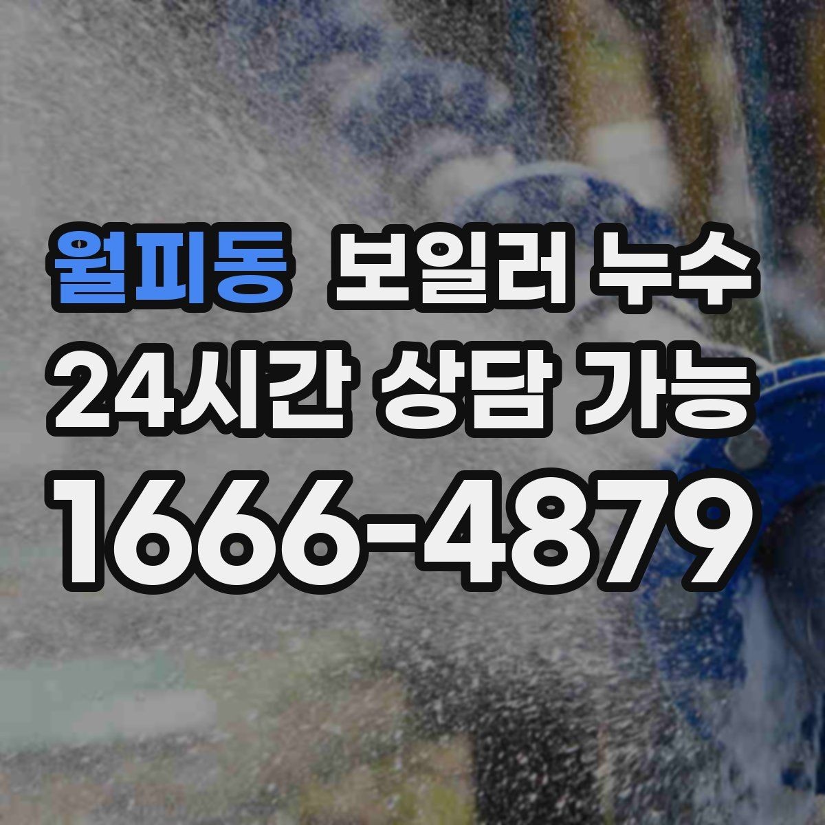 월피동 보일러 누수 장판 모서리가 검게 변할 때 확인