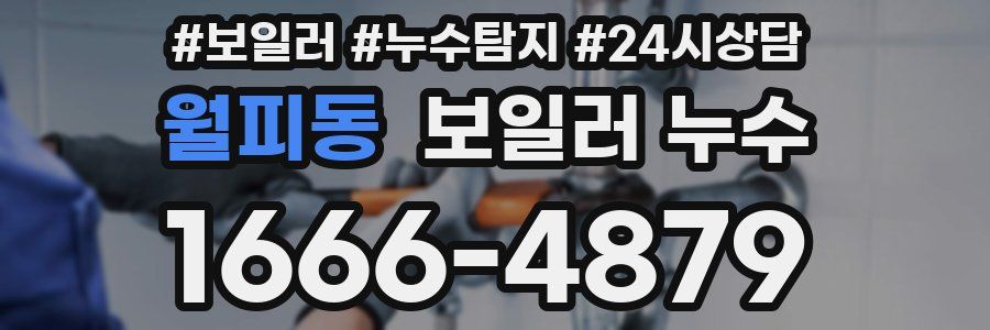 월피동 누수탐지