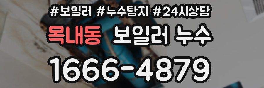 목내동 누수탐지