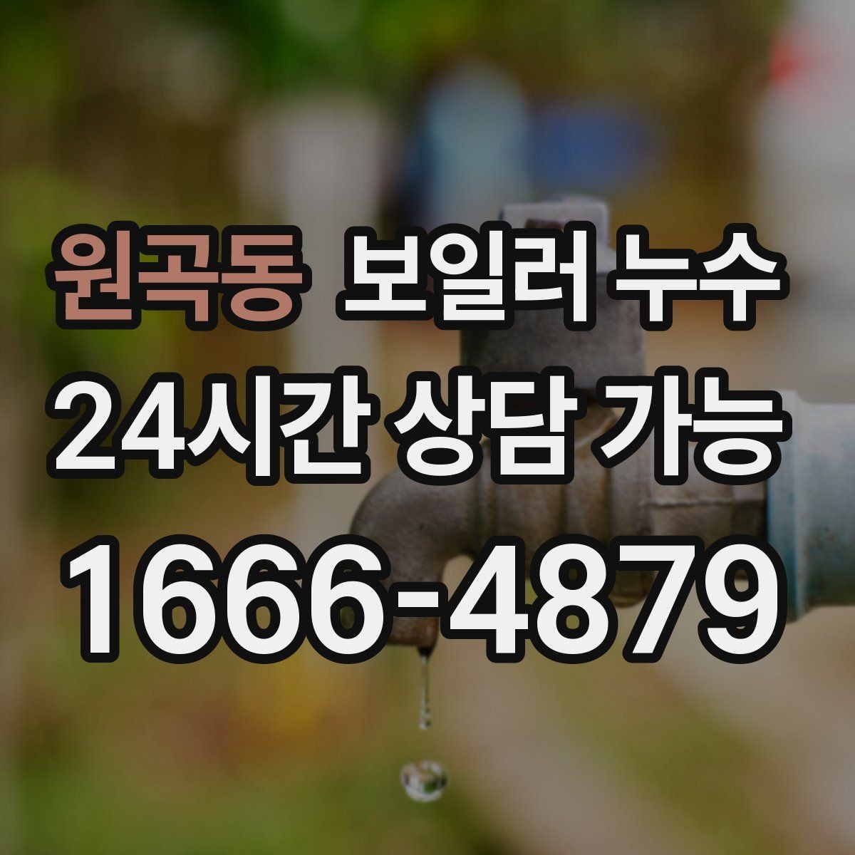 원곡동 보일러 누수 거실보다 방이 더 축축한 이유