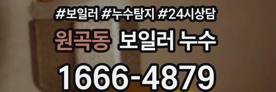 원곡동 누수탐지