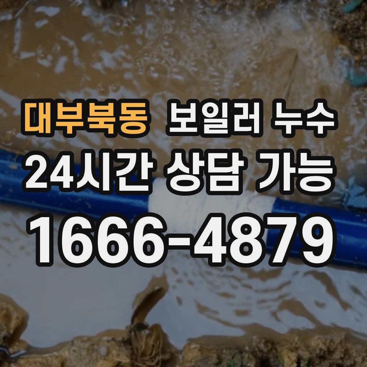 대부북동 보일러 누수 보일러실 물기와 악취가 동시에 날 때