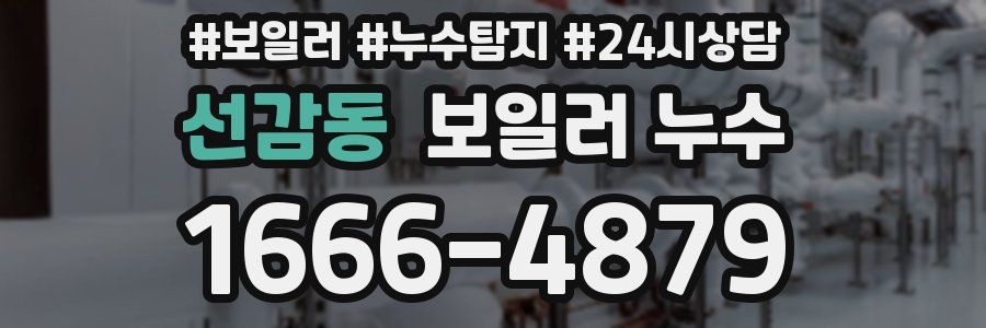 선감동 누수탐지