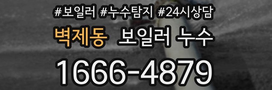 벽제동 누수탐지