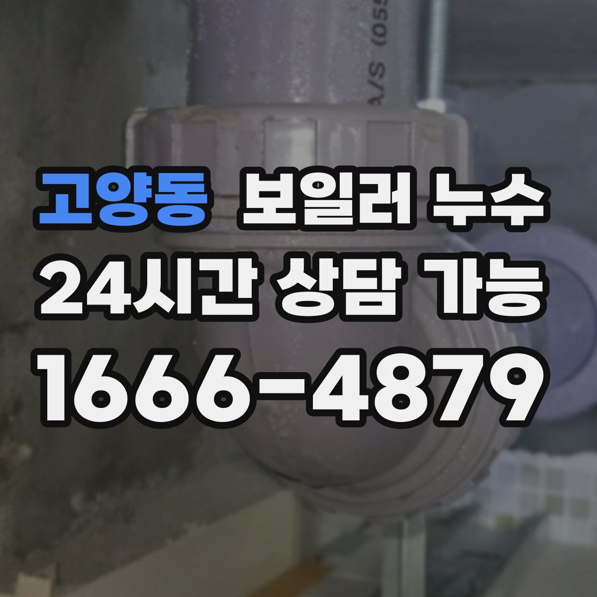 고양동 누수