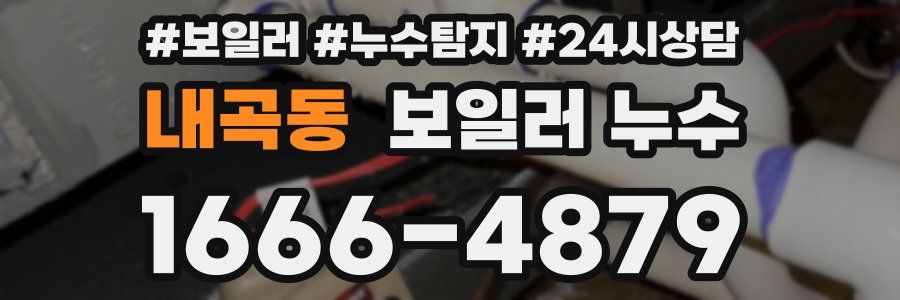 내곡동 누수탐지