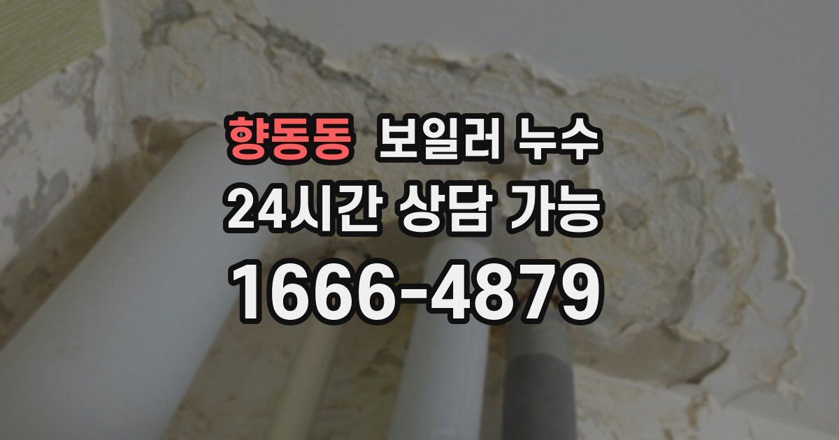 향동동 보일러 누수