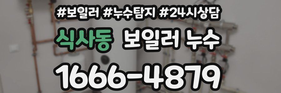 식사동 누수탐지