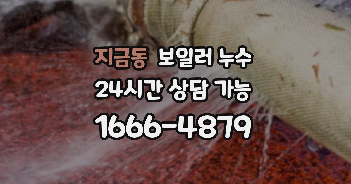 지금동 보일러 누수