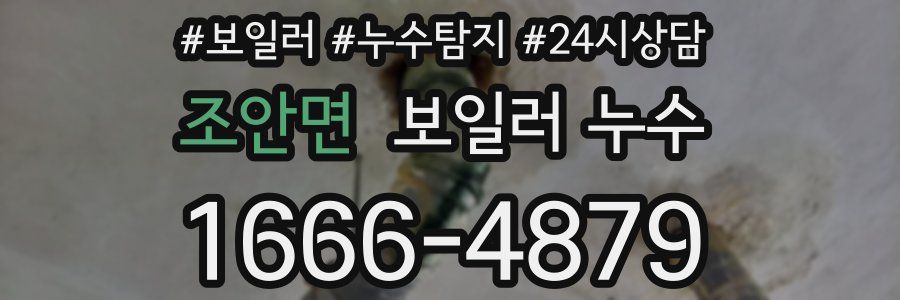 조안면 누수탐지