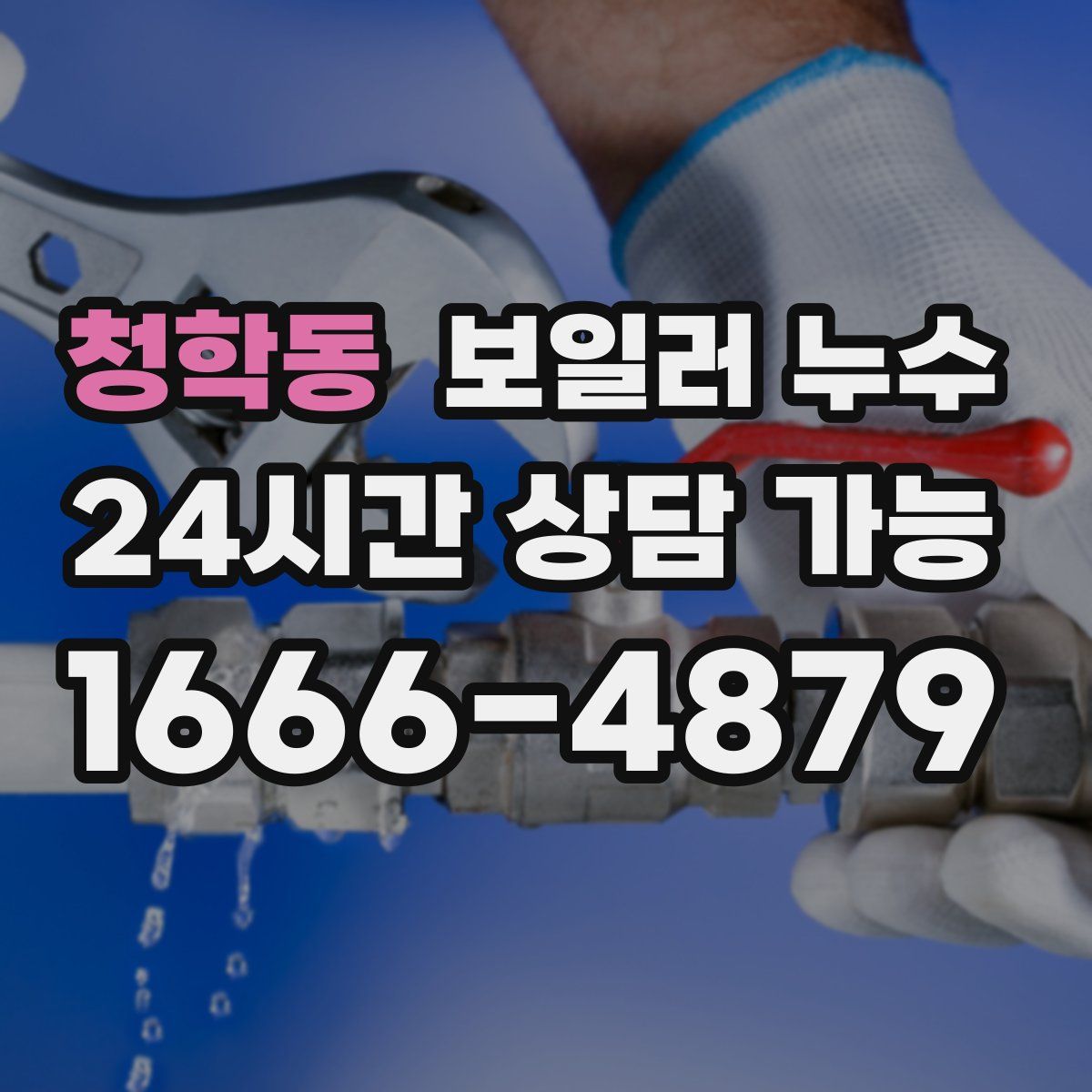 청학동 누수