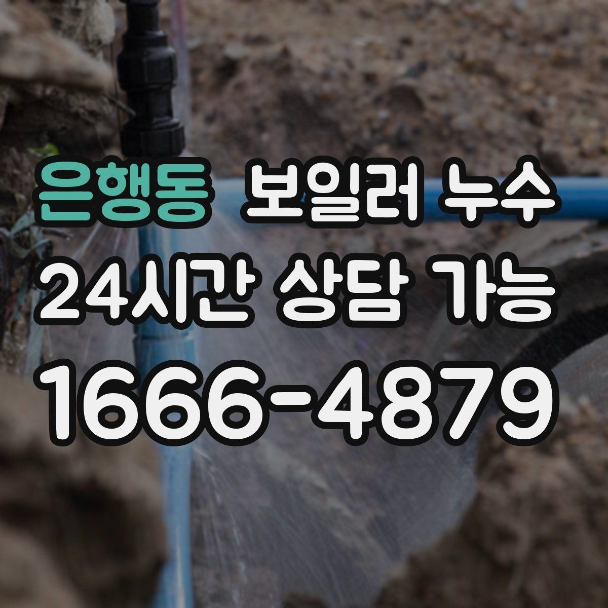 은행동 보일러 누수 바닥 손상과 도배 손상으로 번지기 전
