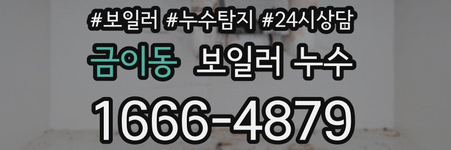 금이동 누수탐지