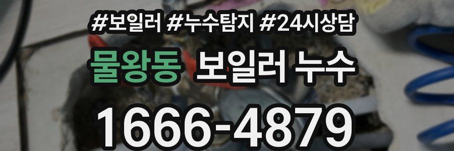 물왕동 누수탐지