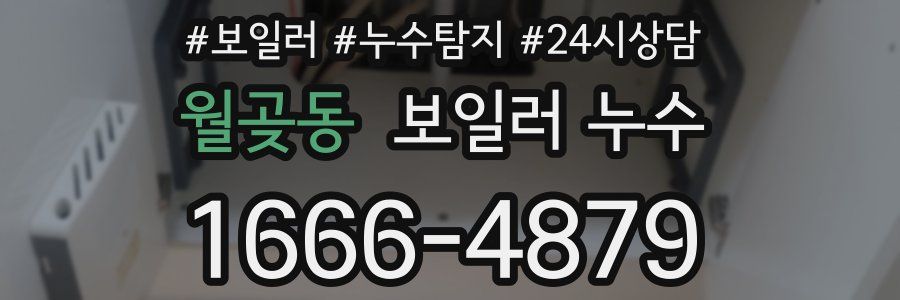 월곶동 누수탐지