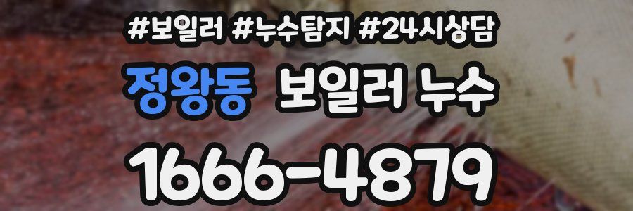 정왕동 누수탐지