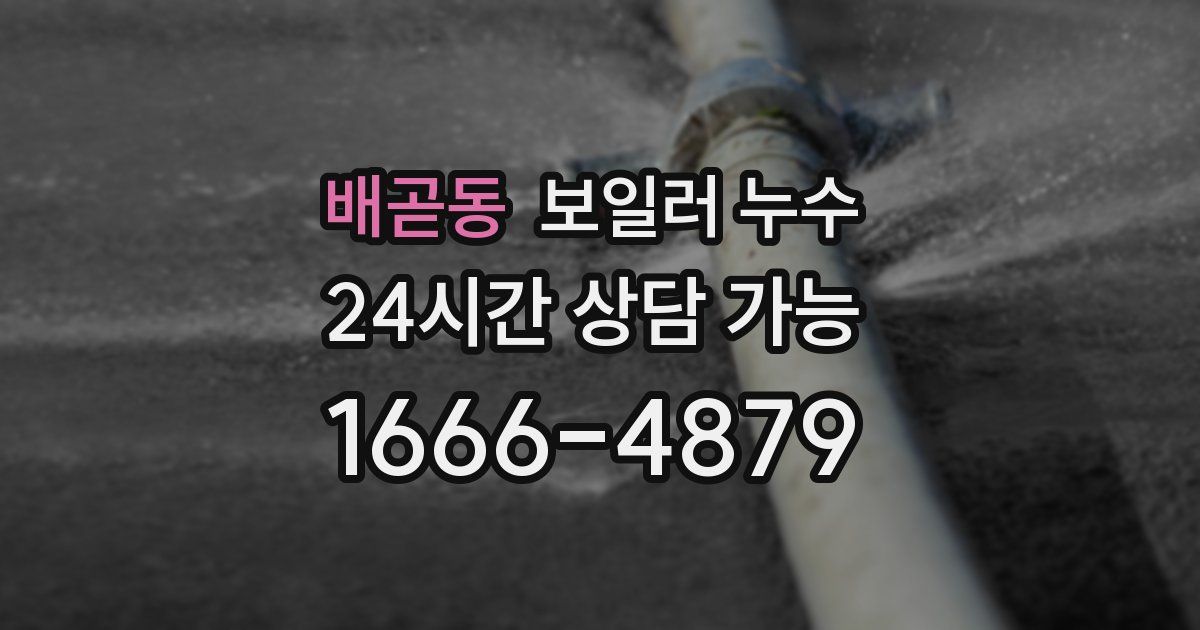배곧동 보일러 누수