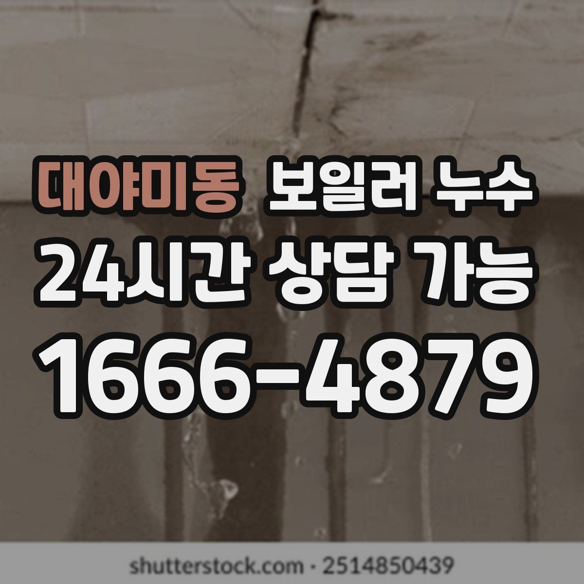 대야미동 보일러 누수 곰팡이만 늘고 물자국이 적을 때