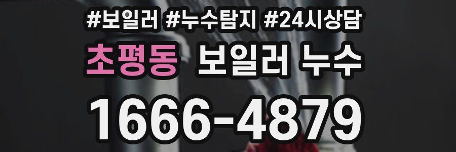 초평동 누수탐지