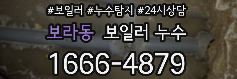 보라동 누수탐지