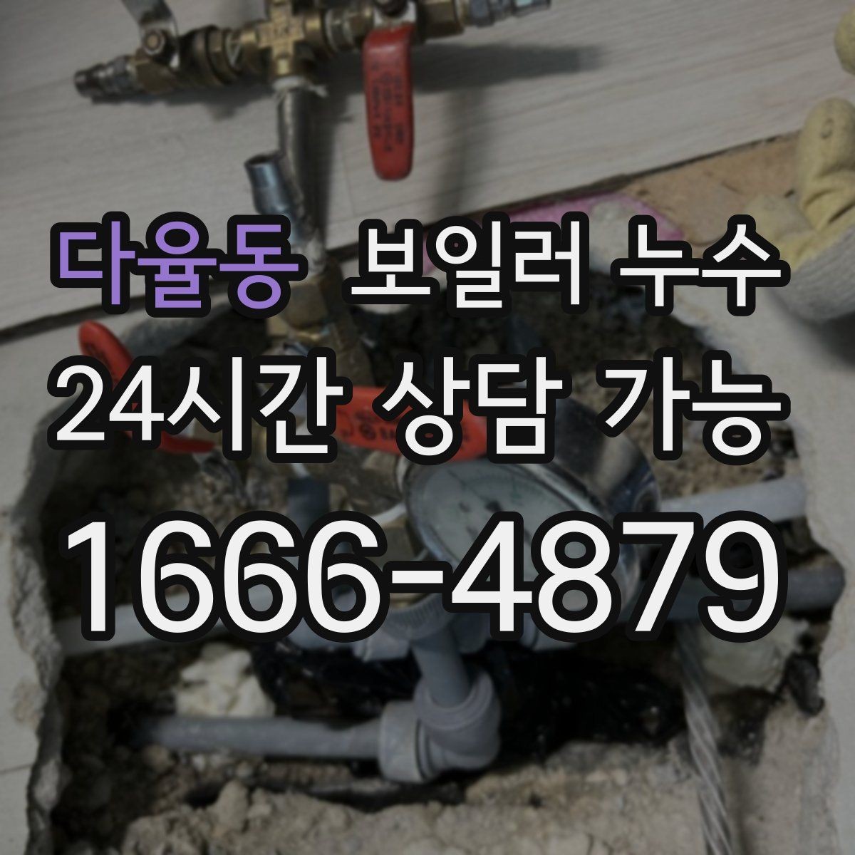 다율동 보일러 누수 현관 쪽 바닥이 축축할 때 점검 방향