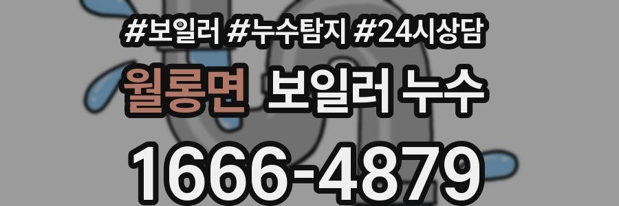 월롱면 누수탐지