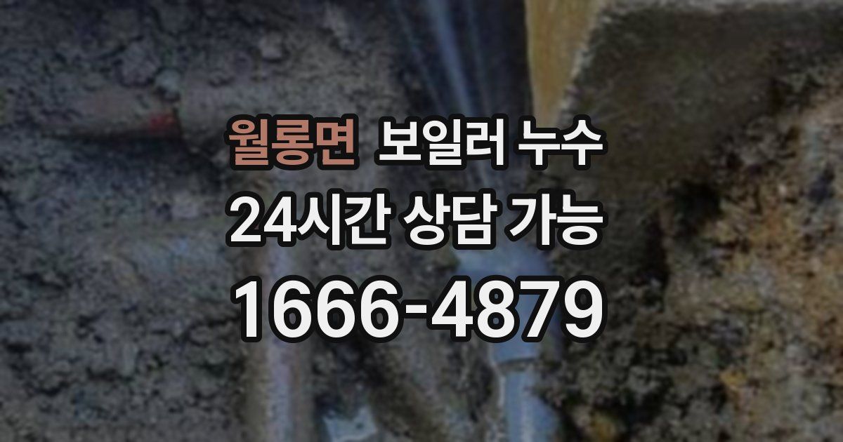 월롱면 보일러 누수