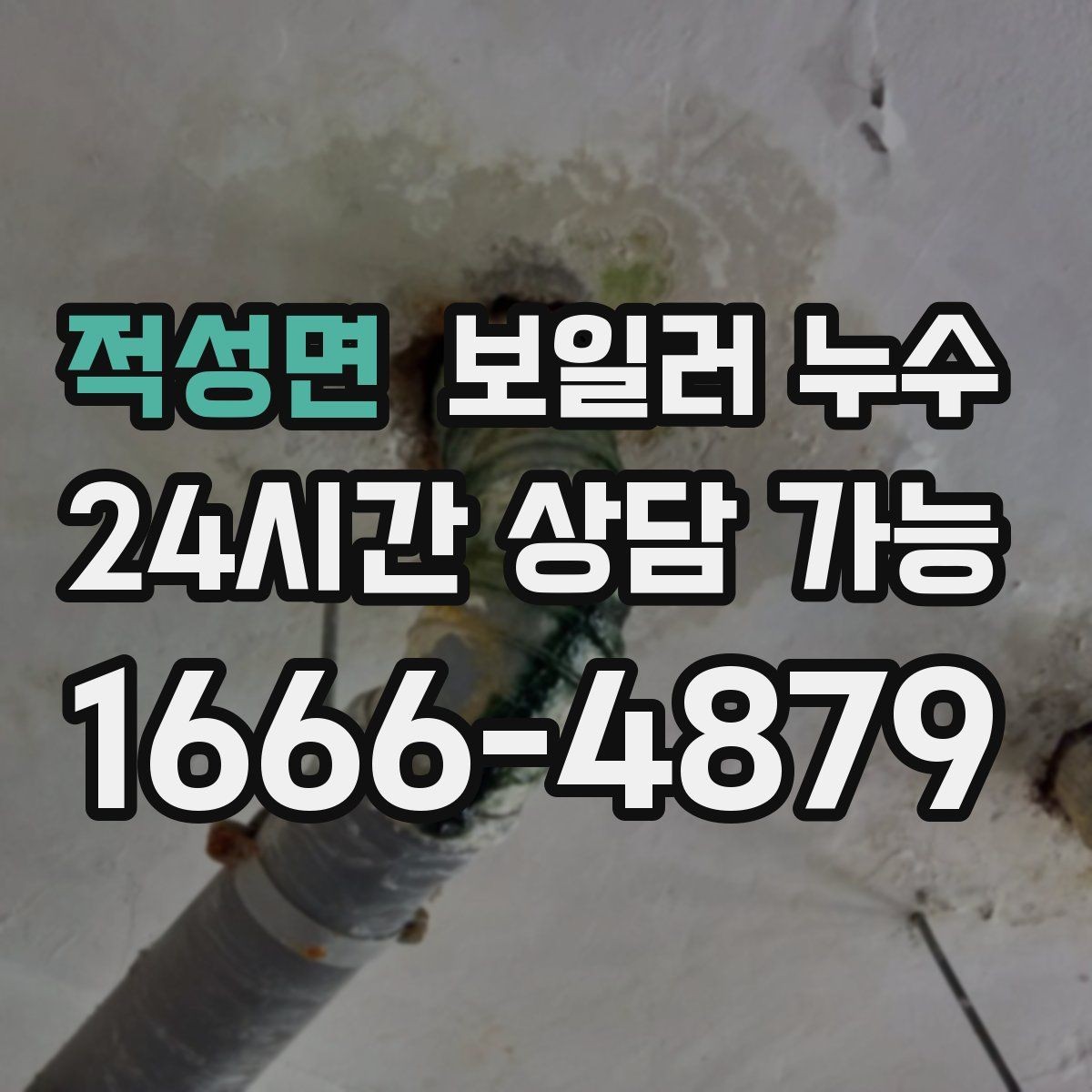 적성면 보일러 누수 보일러 주변에 물방울이 맺히는 날