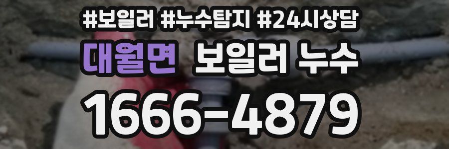 대월면 누수탐지