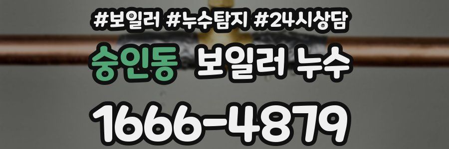 숭인동 누수탐지