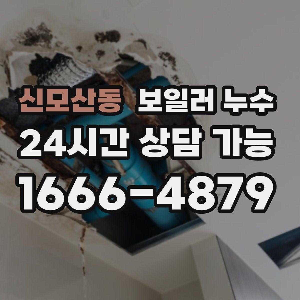 신모산동 보일러 누수 마루 틈새에서 냄새가 올라올 때
