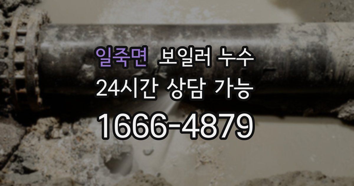 일죽면 보일러 누수