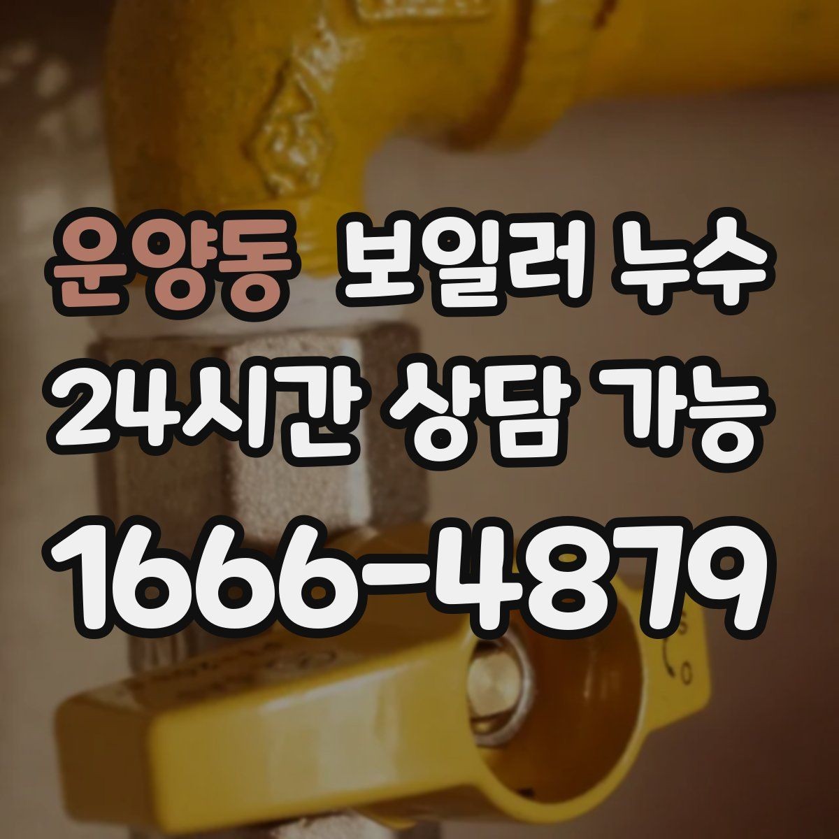 운양동 보일러 누수 보일러실 바닥이 부분적으로만 젖을 때