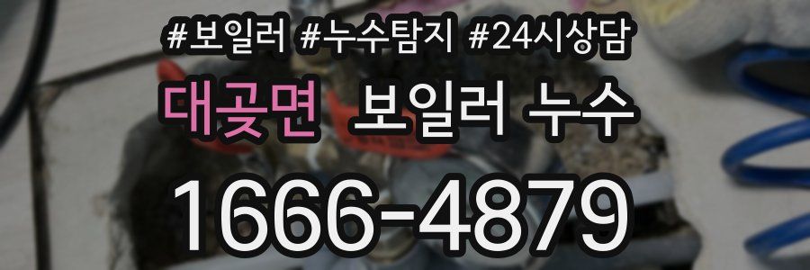 대곶면 누수탐지