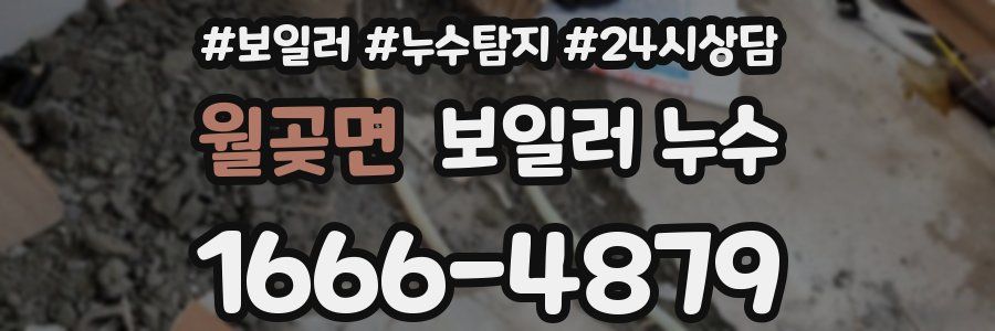 월곶면 누수탐지