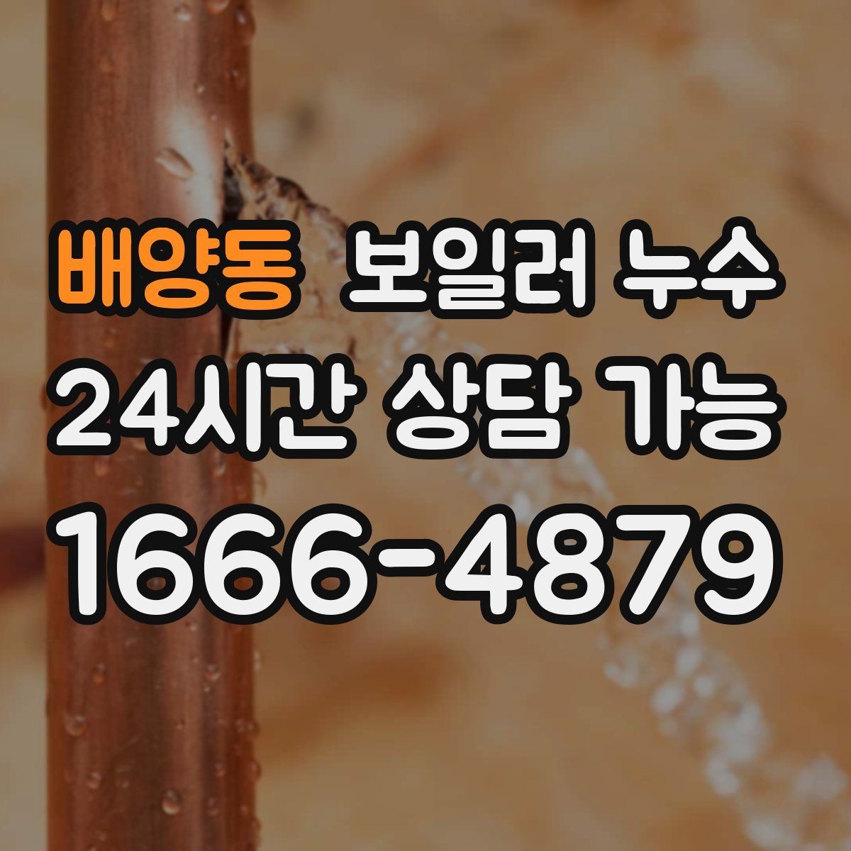 배양동 보일러 누수 보일러실 바닥이 넓게 젖을 때 대응