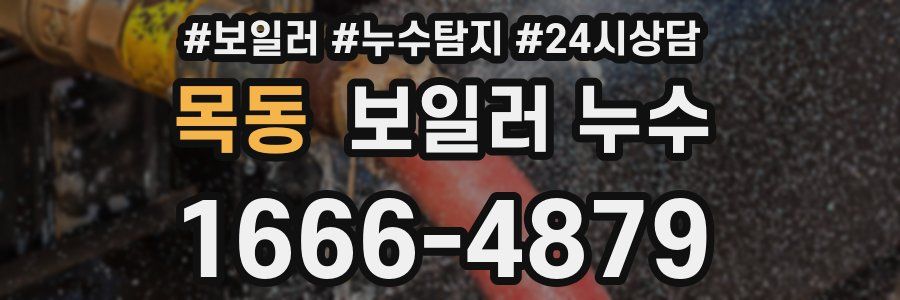 목동 누수탐지