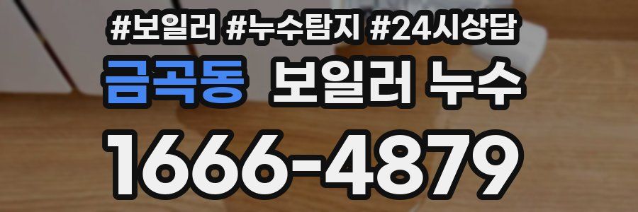 금곡동 누수탐지