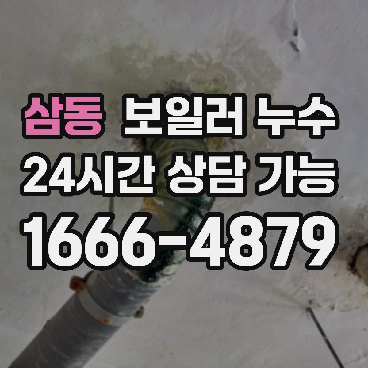삼동 보일러 누수 곰팡이 냄새만 먼저 나는 경우