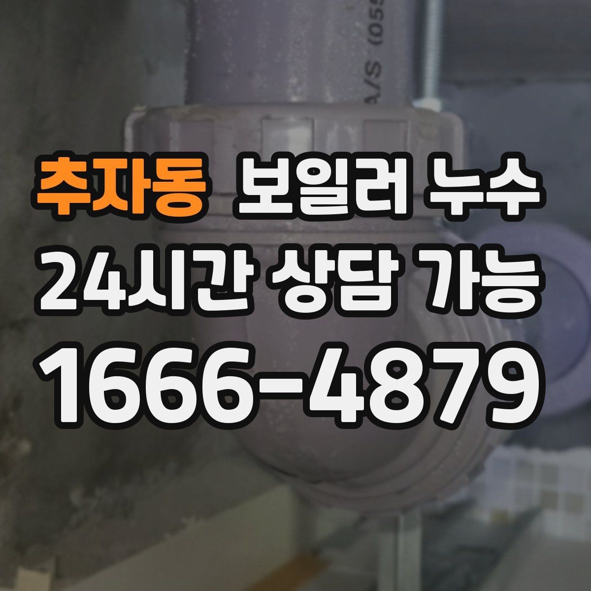 추자동 보일러 누수 장판 모서리가 검게 변할 때