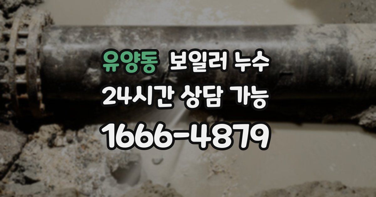 유양동 보일러 누수