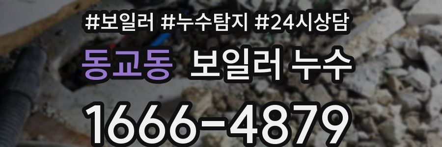 동교동 누수탐지