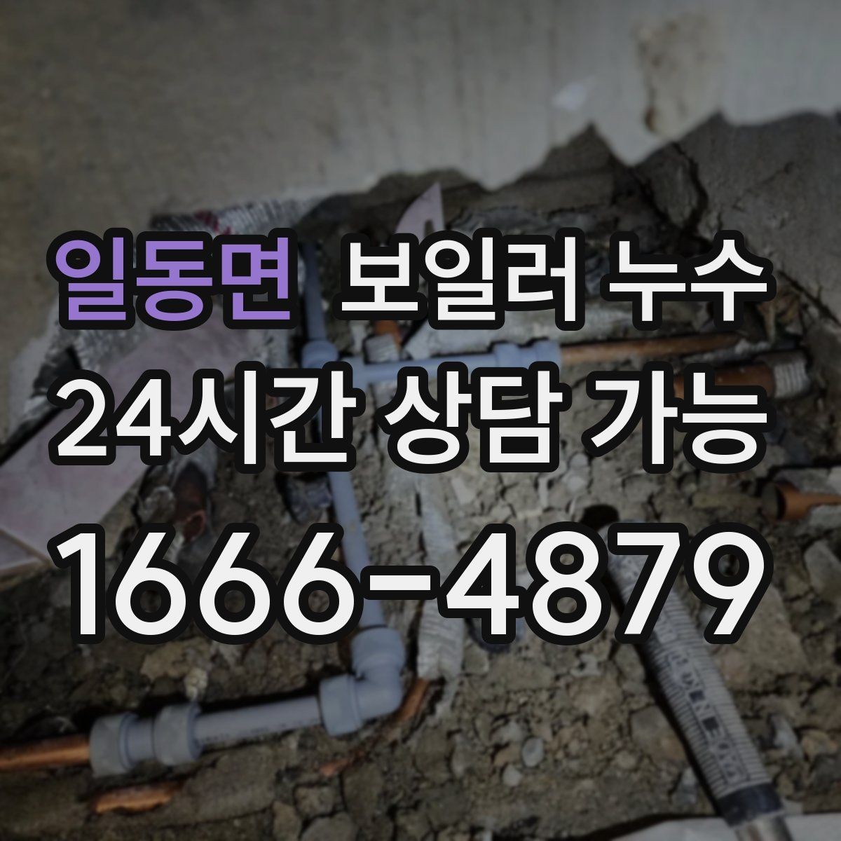 일동면 보일러 누수 보일러실만 젖는 경우 점검 포인트