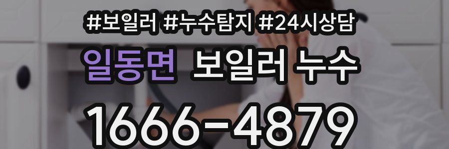 일동면 누수탐지