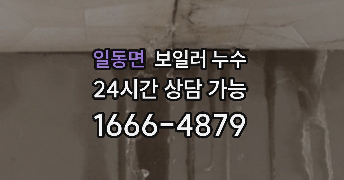 일동면 보일러 누수