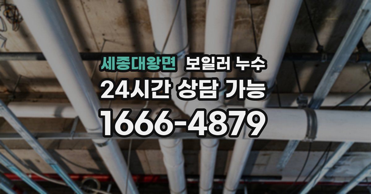 세종대왕면 보일러 누수