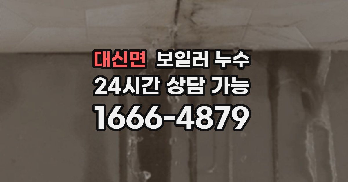 대신면 보일러 누수